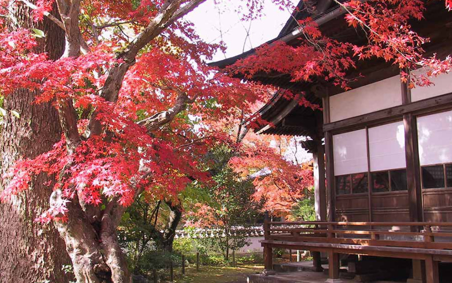 野津町＿普現寺